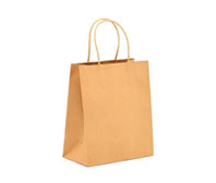 Carry Bags Envelopes Paper Pouches Printing